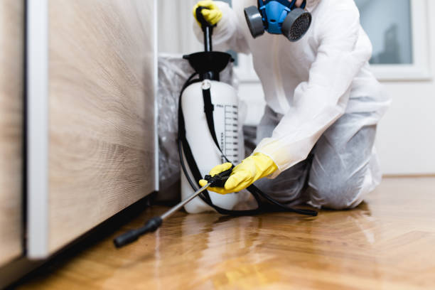 Best Wasp Removal Services  in Port Sulphur, LA