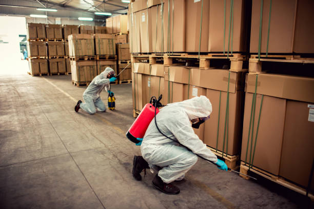 Best Best Pest Control Companies  in Port Sulphur, LA