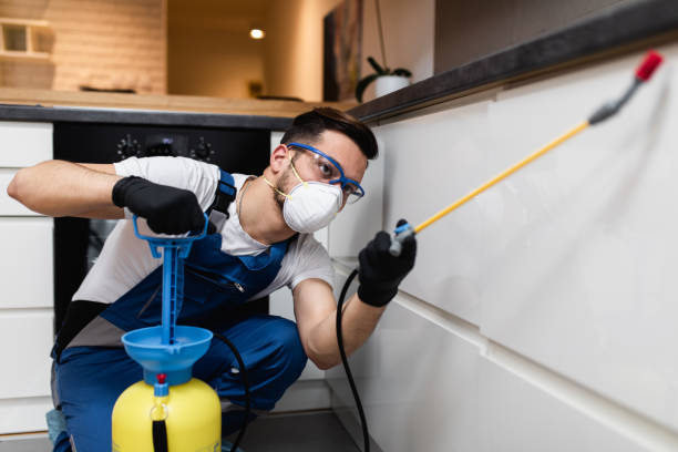 Best Ant Control Services  in Port Sulphur, LA