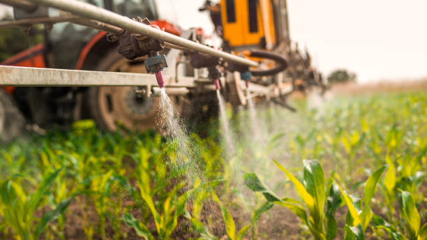 Best Pest Control Cost  in Port Sulphur, LA